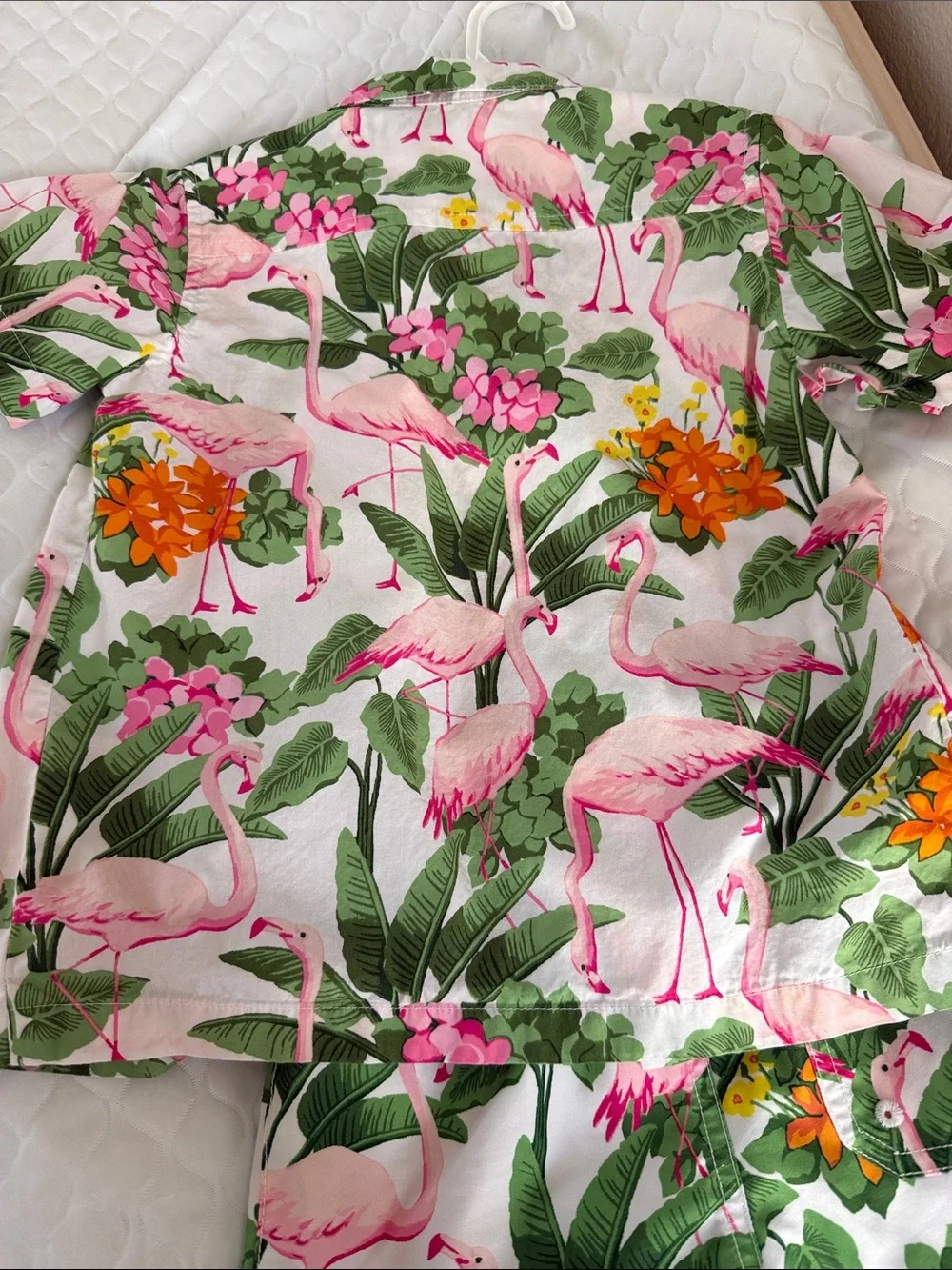 Janie and Jack Kids Flamingo Print Matching Set - Pink & Green Size 4